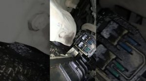 Последствия течи масла через датчик(клапан) фаз грм форд фокус 3 1.6 125 лс