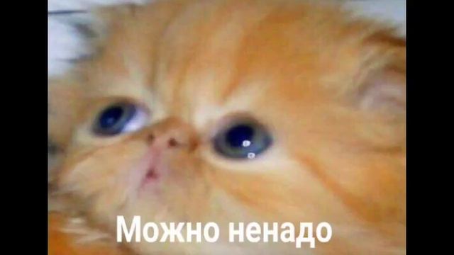 Смешные мемы 2019. Смешно. смотреть онлайн