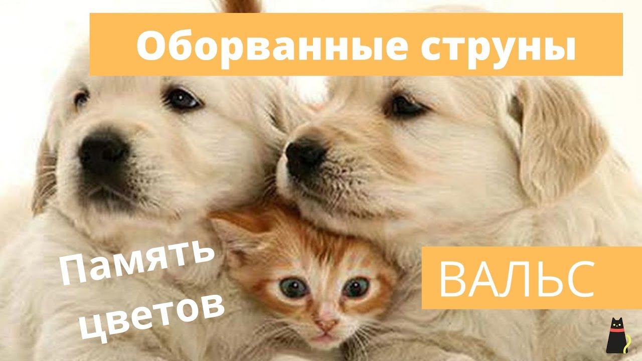 Повторение - мать учения! Терпение и труд - все перетрут! смотреть онлайн