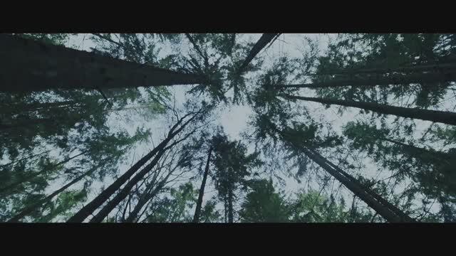 Сериал «Топи» | Смотреть на Kartina.TV