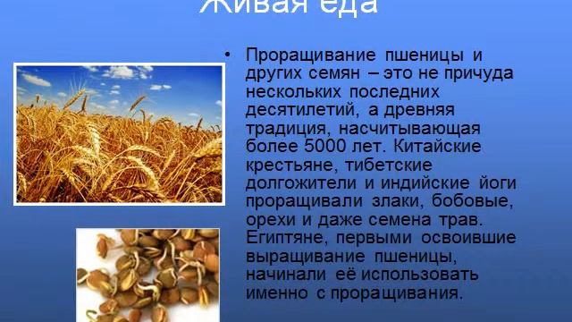 Презентация Виды питания и влияние продуктов на здоровье человека смотреть онлайн