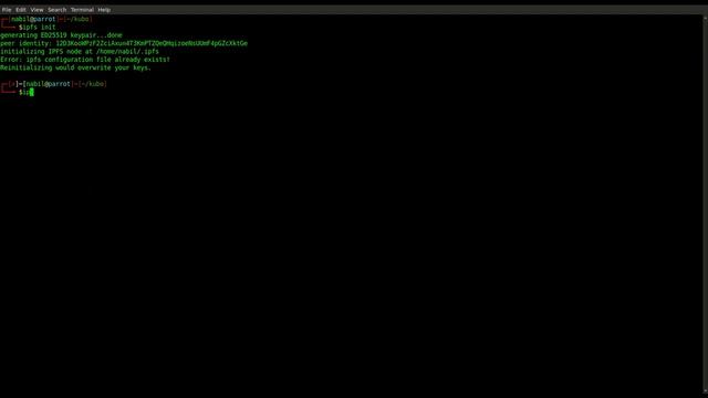 IPFS Kubo Installation Guide: Download & Install go-ipfs on Linux & Ubuntu! смотреть онлайн