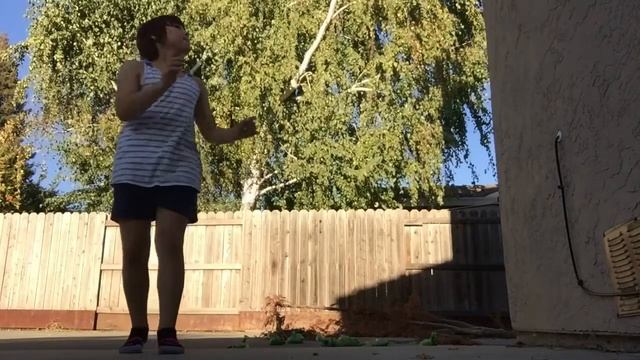 Teaching everyone how to play and practice wall ball смотреть онлайн