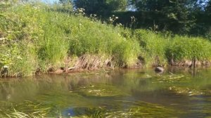 С МЕТАЛЛОИСКАТЕЛЕМ ПО РЕКЕ /КОПАЕМ НА МЕЛКОВОДЬЕ