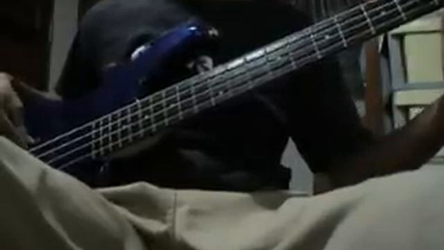 Beck - Follow Me BASS COVER смотреть онлайн