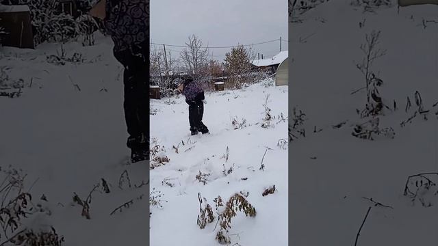 Инфузория тапочка переела грибов и напала на нас.? смотреть онлайн