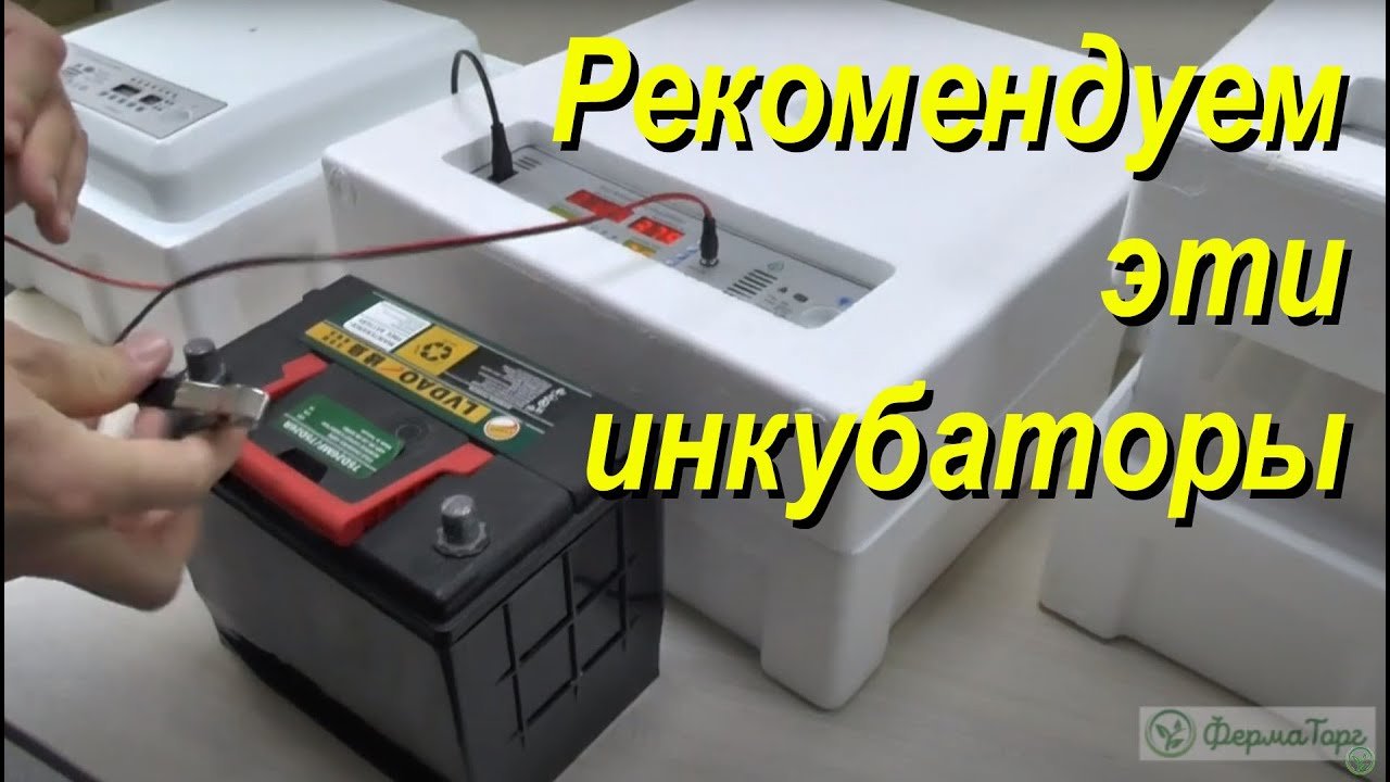 Эти настольные автоматические инкубаторы - одни из лучших. Вместимость от 36 до .mp4 смотреть онлайн