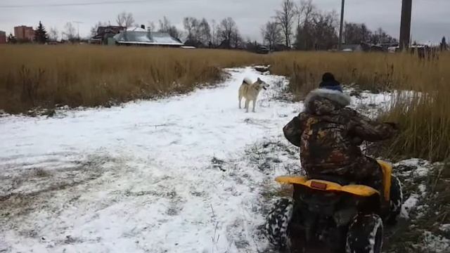 Малыш на квадрике смотреть онлайн