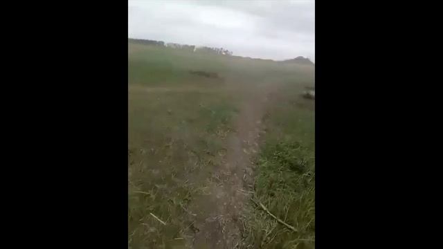 Украинские солдаты в Херсонских полях. смотреть онлайн