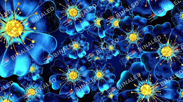 Футаж цветы синий смотреть онлайн