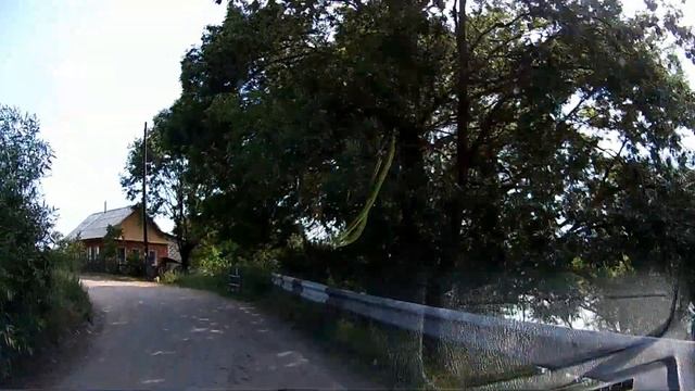 Чай из липы