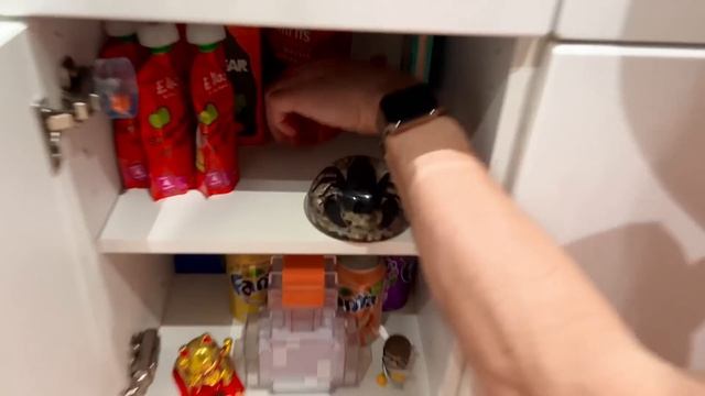 Катя и папа поселились в комнате у Макса смотреть онлайн