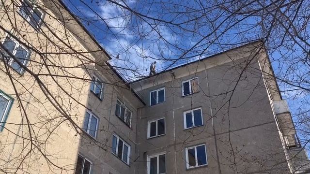 2021-02-08 МУП Жилкомсервис. Чистка кровли на Энтузиастов, 4, Сосновоборск смотреть онлайн