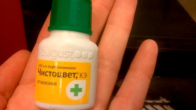 ПЯТНИСТОСТИ НА ЛИСТЬЯХ ОРХИДЕЙ _ КАК ЭФФЕКТИВНО ПОБОРОТЬ БОЛЕЗНЬ _ смотреть онлайн