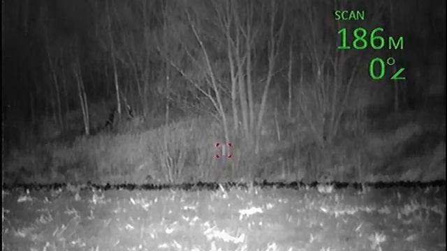 Pulsar Digisight LRF N970 тест дальномера № 1