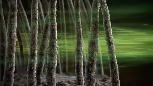 [SUPRA] Фен с нефритовым излучателем смотреть онлайн