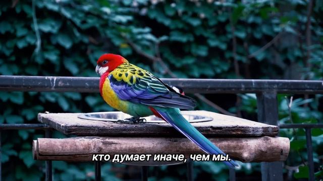 "Девизы". 2 августа. День за днем в Ал-анон. Ежедневник для созависимых. смотреть онлайн