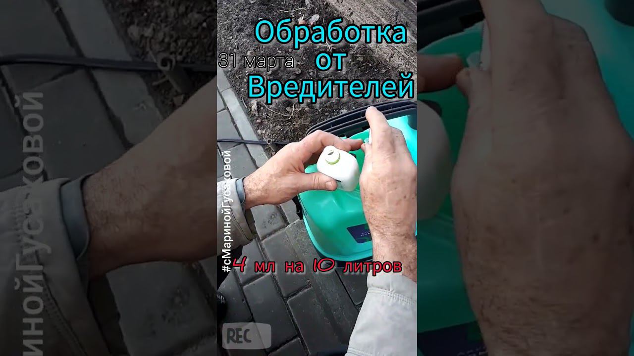 ПЕРВАЯ ОБРАБОТКА от ВРЕДИТЕЛЕЙ! Чем ОПРЫСКАТЬ САД В НАЧАЛЕ ВЕСНЫ | с Мариной Гусаковой 31 марта смотреть онлайн