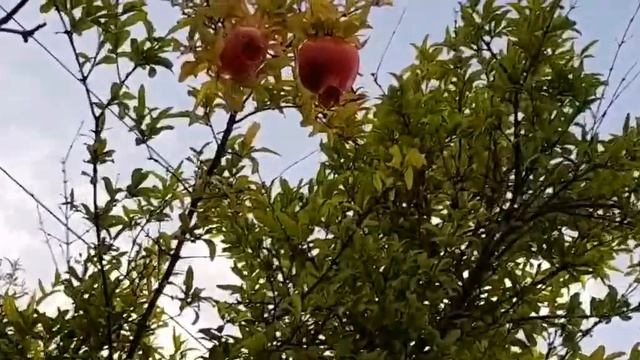 Один день из жизни отдыхающих