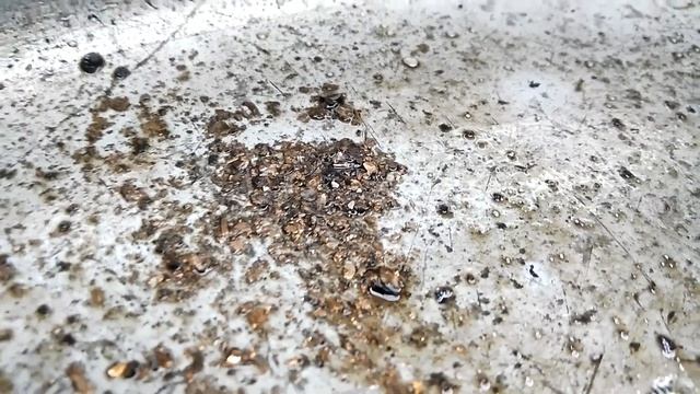 "ГТ" Разбираем стуканувший GDI мотор от Киа/Хундай G4KJ. смотреть онлайн