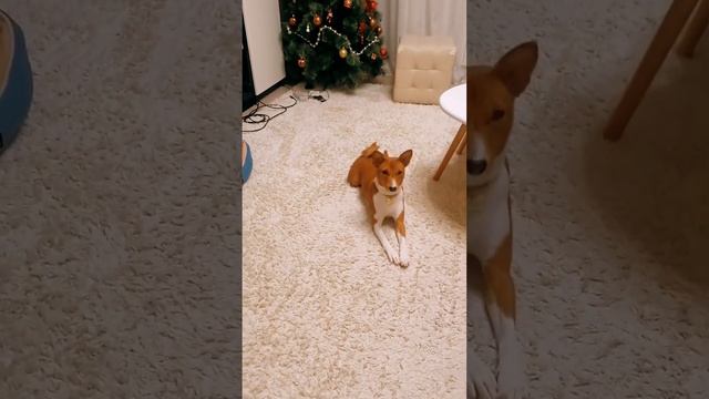 я осталась одна дома начали происходить ужасы! мне страшно 😨 смотреть онлайн