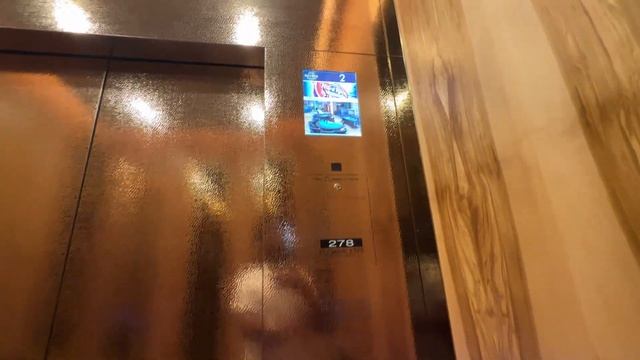 Mitsubishi Diamond-Trac Private Elevators | Seminole Hard Rock Hotel - East Tower | Tampa, FL смотреть онлайн