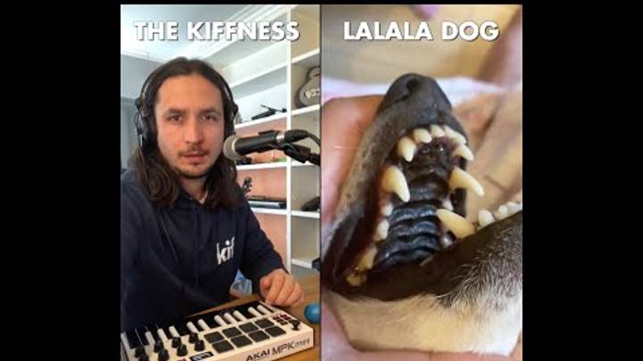 The Kiffness x Lalala Dog - Lalala (Live Looping Singing Dog Song) смотреть онлайн