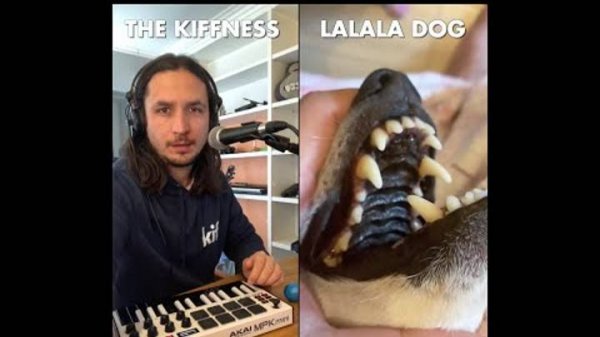 The Kiffness x Lalala Dog - Lalala (Live Looping Singing Dog Song)