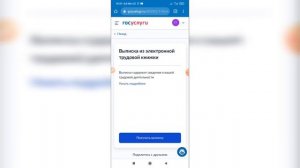 Как посмотреть трудовую книжку на Госуслугах? Как заказать выписку из трудовой книжки?