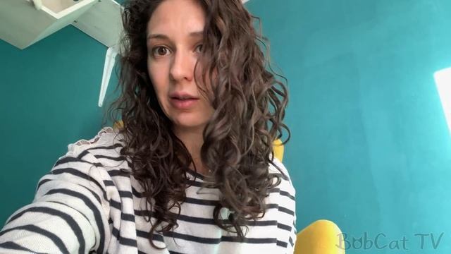 РЫСИ И ПУМА ПОЧУЯЛИ ВЕСНУ, А БАРХАННЫЕ КОШКИ - БОБРА / Свинья в восторге от огромного медведя смотреть онлайн