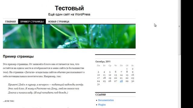 Wordpress Внешний вид.mp4 смотреть онлайн