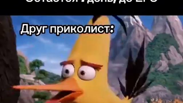 Остался один день до сдачи ЕГЭ. Angry birds мем смотреть онлайн