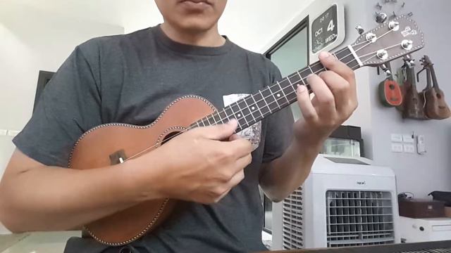Huahin Ukulele C-21(All Solid Mahogany) смотреть онлайн