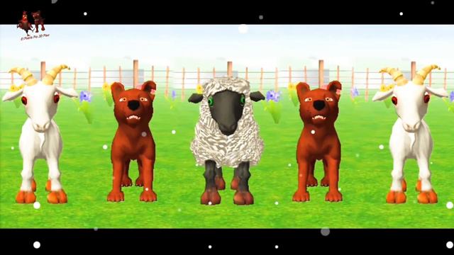 El Pollito Pio 3D Plus - Concoines De La Granja De Zenon Poco Pio 3D Plus Gameply Android -33