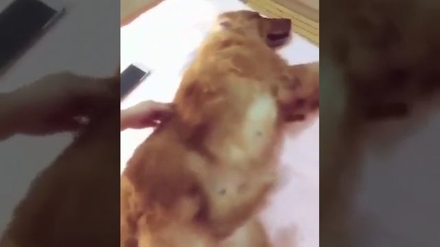 1272876436053.mp4 смотреть онлайн