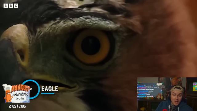 Why I LOVE Bad Video Games смотреть онлайн