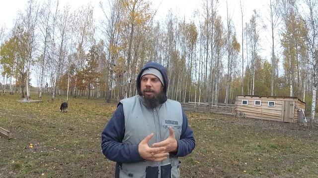 ОБЗОР ХОЗЯЙСТВА ОКТЯБРЬ / ПЛАНЫ НА БУДУЩИЕ смотреть онлайн