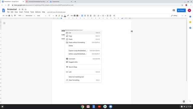 How to install Birdsketball on a Chromebook смотреть онлайн