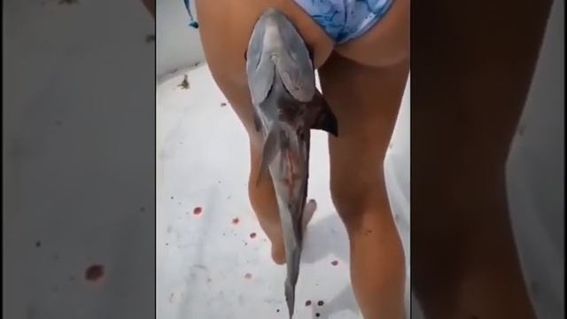 Рыба прилипало смотреть онлайн