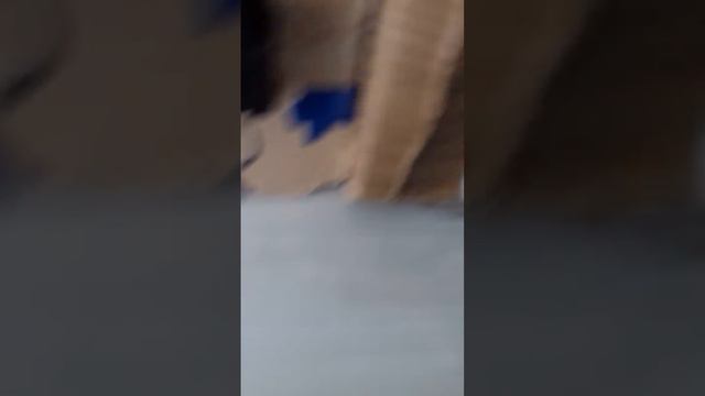 мой макет лифта кмз смотреть онлайн