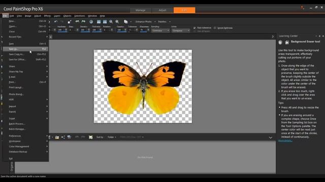Working with Transparency in Corel PaintShop Pro X6 смотреть онлайн