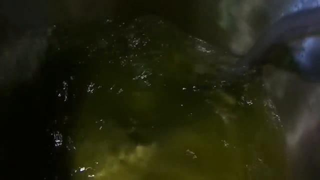 bomba de tranferencia 6000 litros horas totalmente em aço inox смотреть онлайн