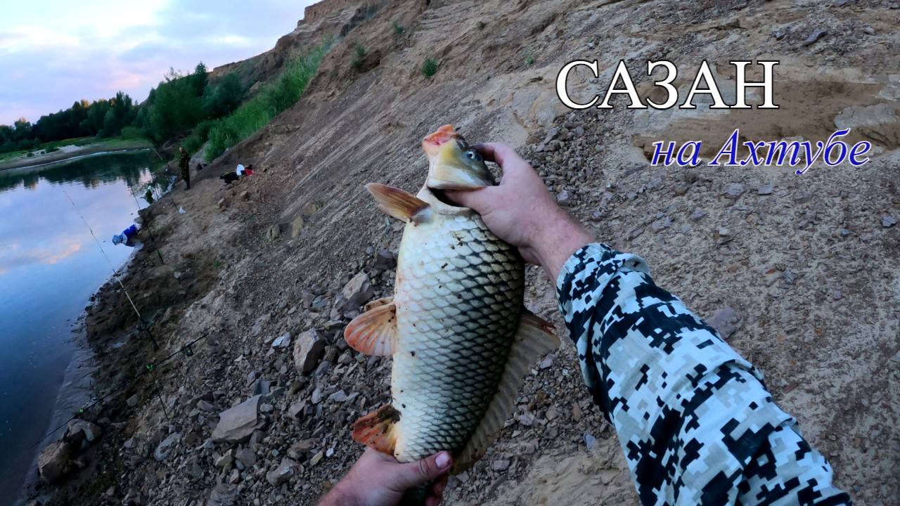 Ловля САЗАНА на Ахтубе, летняя рыбалка на донки. смотреть онлайн