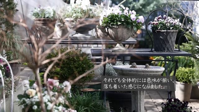 【ガーデニング】冬庭を美しく見せるお花の色合わせとレイアウト смотреть онлайн