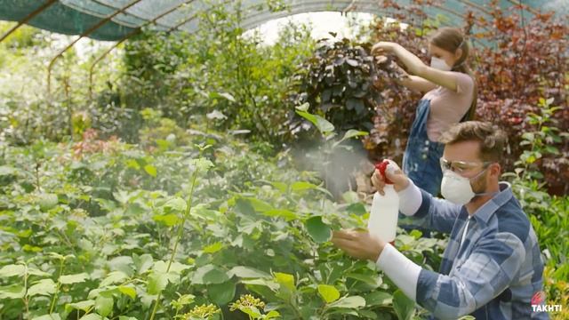 New Research: Paper Straws are Dangerous | اردو | हिन्दी смотреть онлайн