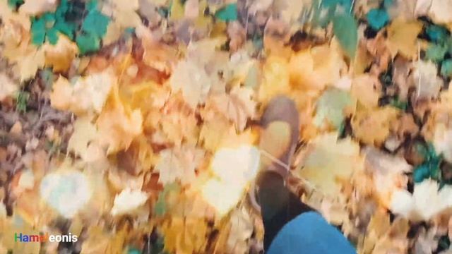 Иногда я спрашиваю себя, чем пахнет осень? Мой ответ — это запах фейерверка осенних листьев и ?. смотреть онлайн