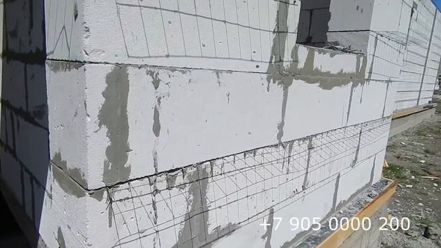 Грибные встречи