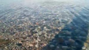 Мёртвое море камушки и как бросать пускать камни по воде далеко чтобы не тонули