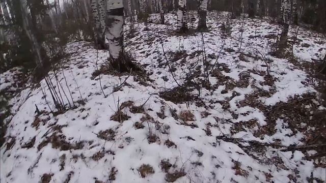 Закрытие сезона. Нашёл серебренную монету!!! смотреть онлайн