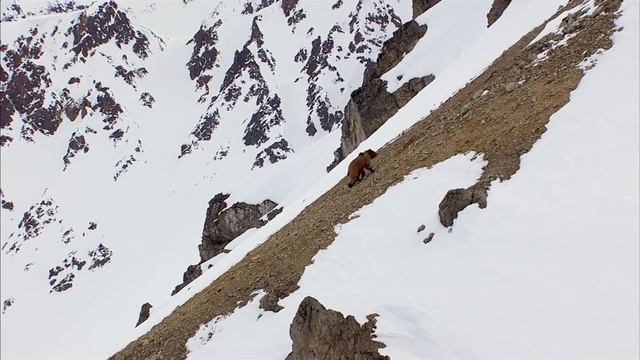 The Best of The Art of Flight смотреть онлайн